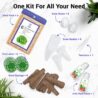 Salad Seed Pods, Grow Anything Kit for All Hydroponics Growing Systems, 8 Pods with 600+ Seeds of Red Cherry Tomato, Butter Head, Romaine, Spinach, Mini Cucumber and Radish