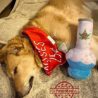 Nestpark Puppy Chiefer 3000 - Funny Dog Toys - Plush Squeaky Weed for Medium, Small and Large - Cute Dog Gifts for Dog Birthday - Cool Stuffed Dog Toys