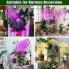 yentbokj Grow Lights for Indoor Plants,5 Heads Red Blue White Full Spectrum Plant Light with 15-60" Adjustable Tripod Stand, Indoor Grow Lamp with Remote Control and Auto On/Off Timer Function