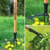 Grampa's Weeder - The Original Stand Up Weed Puller Tool with Long Handle - Made with Real Bamboo & 4-Claw Steel Head Design - Easily Remove Weeds Without Bending, Pulling, or Kneeling.